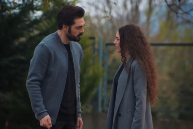 Dziedzictwo odc. 832