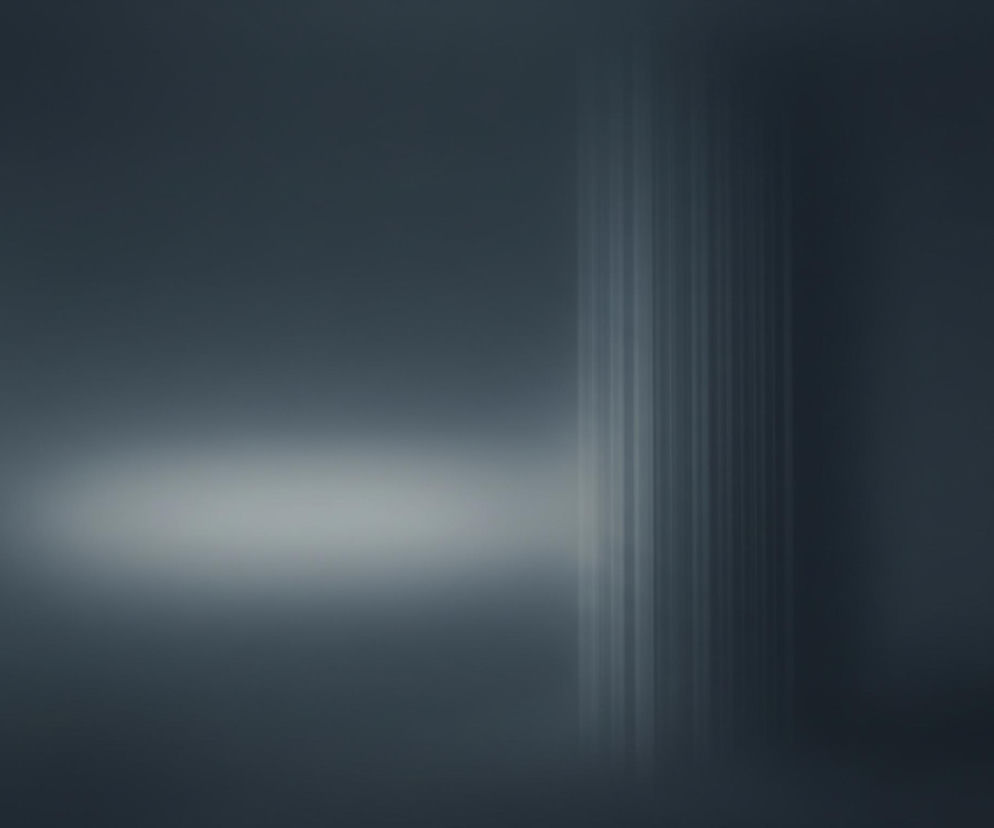 Abstrakcyjny obraz charakteryzuje się ciemnoszarym tłem z domieszką błękitu. Centralnym punktem jest owalne, rozmyte, jasnoszare światło, rozciągające się horyzontalnie. Po lewej stronie pionowo biegną dwie cienkie, jasne linie, natomiast po prawej widoczna jest grupa grubych, bladoszarych pasów, które tworzą efekt ruchu. Cała kompozycja ma wygląd miękko rozmytej fotografii.