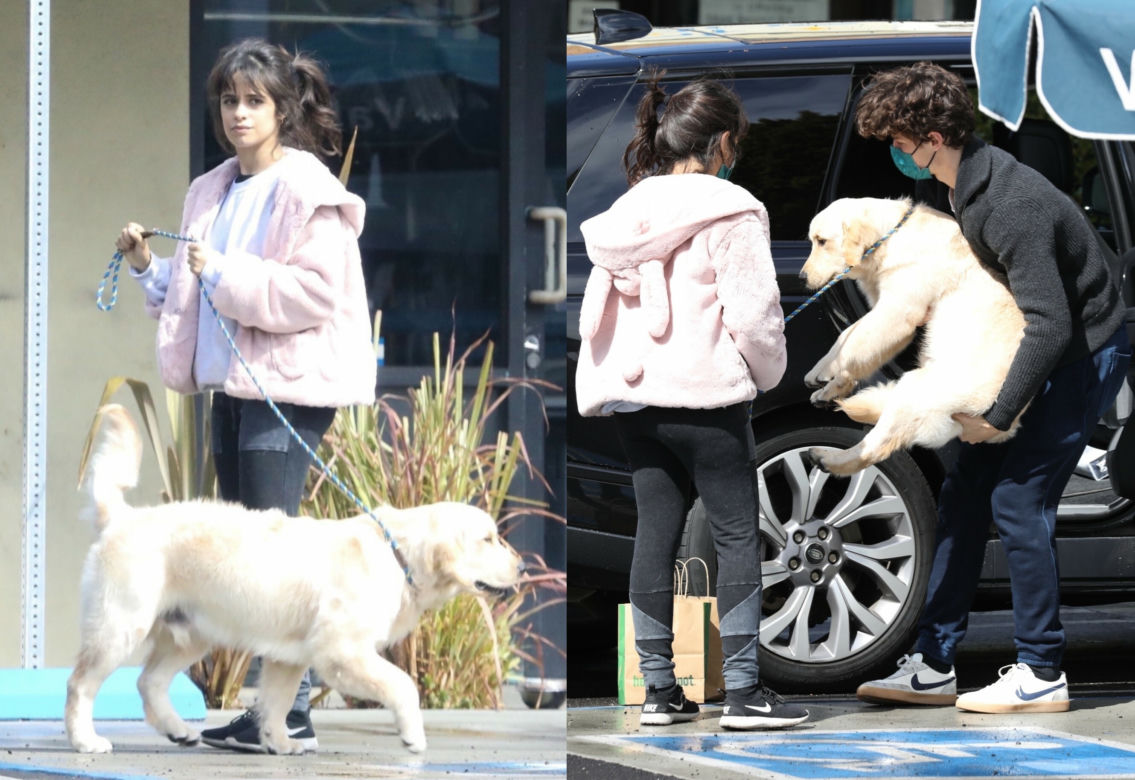 Shawn Mendes i Camila Cabello z Tarzanem