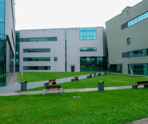 Zwyrodnialec truje nasze psy!
