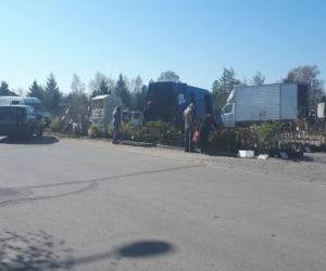 OTWORZYLI  LASY LUDZIE WYSZLI NA MIASTO