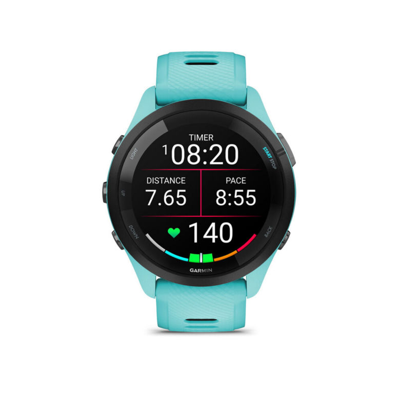 Garmin 265