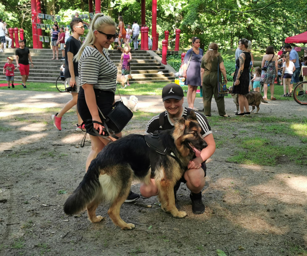 Świętowali Dzień Psa w kaliskim Parku Miejskim
