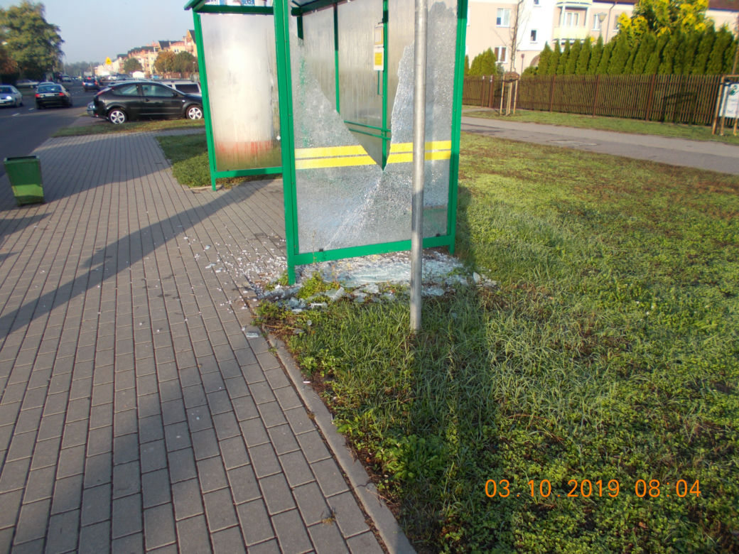 Wandale znów atakują. MZD wysyła prośbę do mieszkańców Torunia