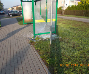 Wandale znów atakują. MZD wysyła prośbę do mieszkańców Torunia