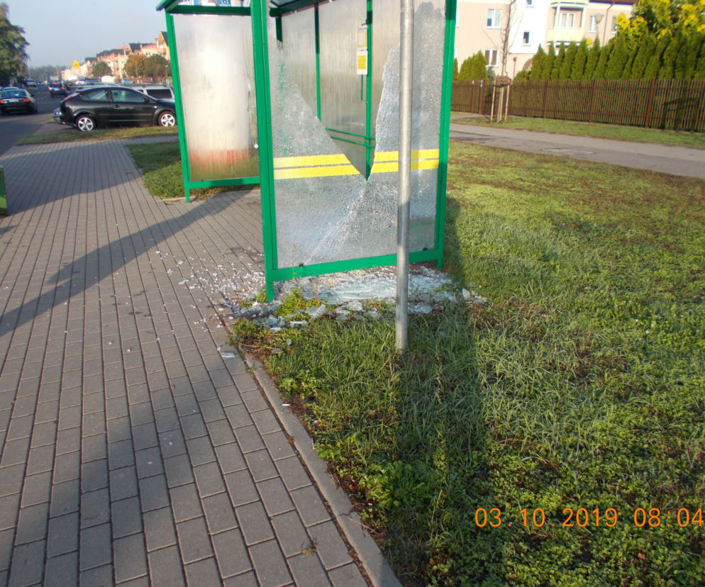 Wandale znów atakują. MZD wysyła prośbę do mieszkańców Torunia