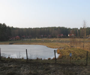Silvarium w Poczopku