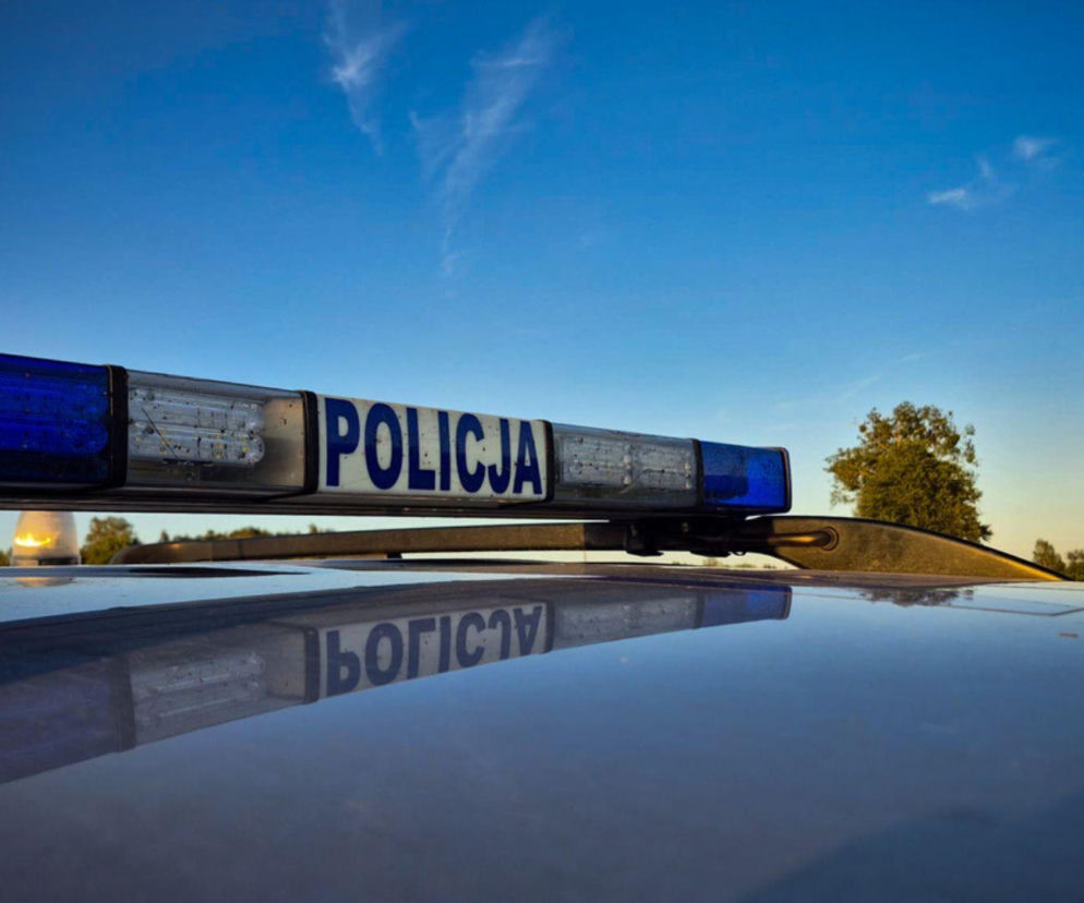 „Kopał psa i głodził miesiącami”. Mieszkaniec Sokółki odpowie za bestialstwo