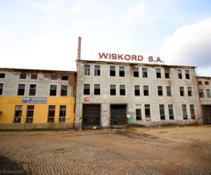 Łabędź pomylił kałużę z rzeką. Na pomoc ruszyli szczecińscy strażnicy miejscy