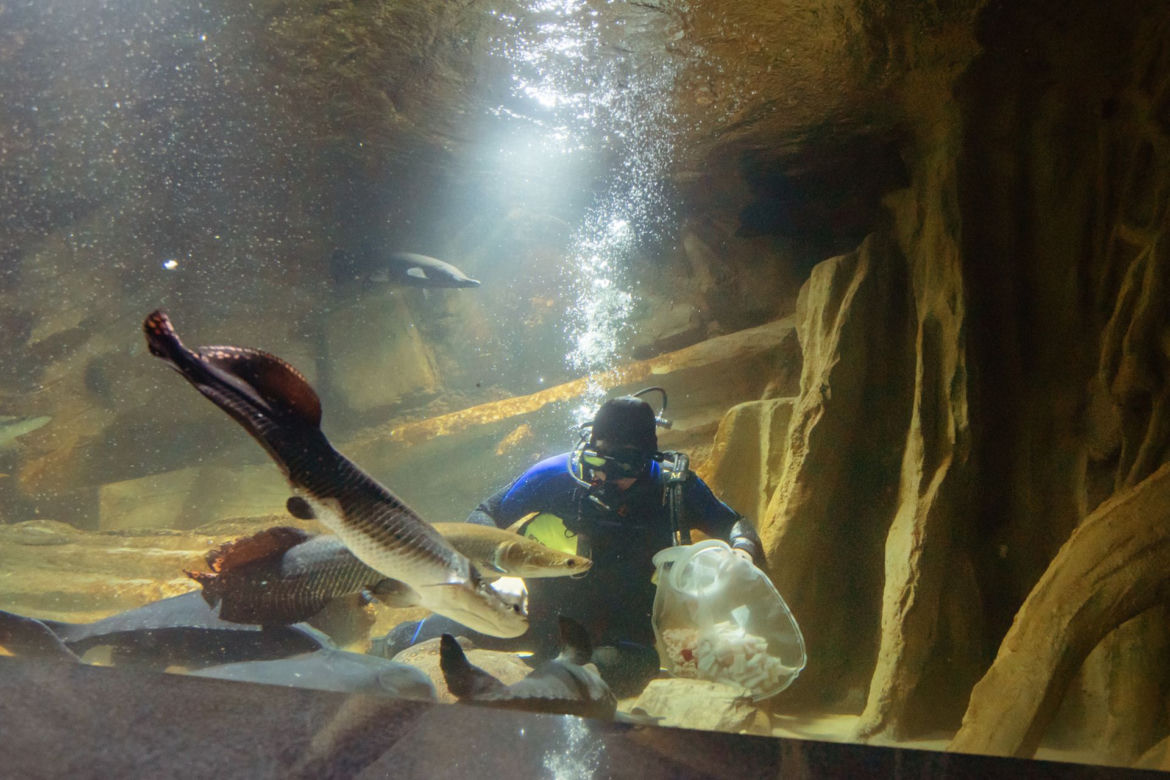 Kasprzyk, Kurowska i Kaliszuk w Oceanarium
