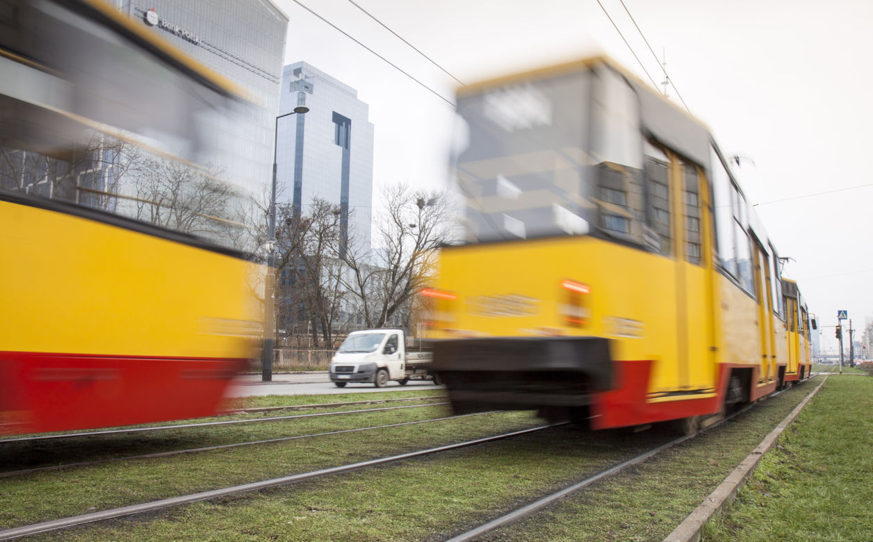 Tramwajarze zazielenili torowiska w centrum 