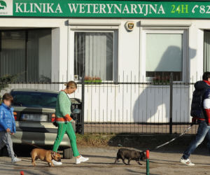 Rozenek odwiedziła pieska w szpitalu