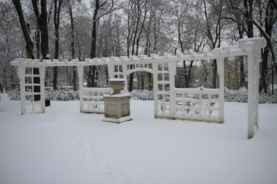 Pierwszy śnieg w Ogrodzie Saskim w Lublinie w tym sezonie!