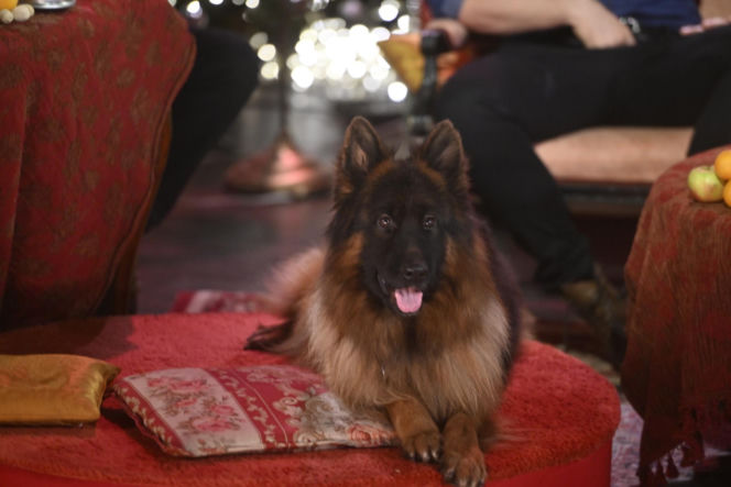 Marcin Rogacewicz w serialu "Komisarz Alex"