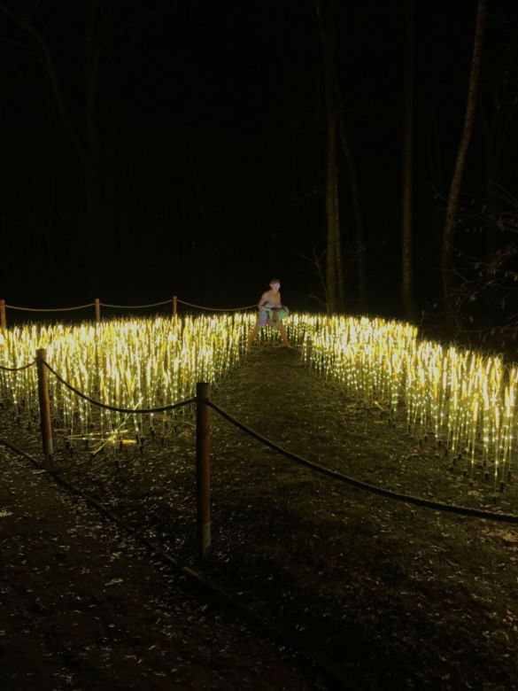 Luminaa Park 