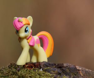 Kucyki Pony 