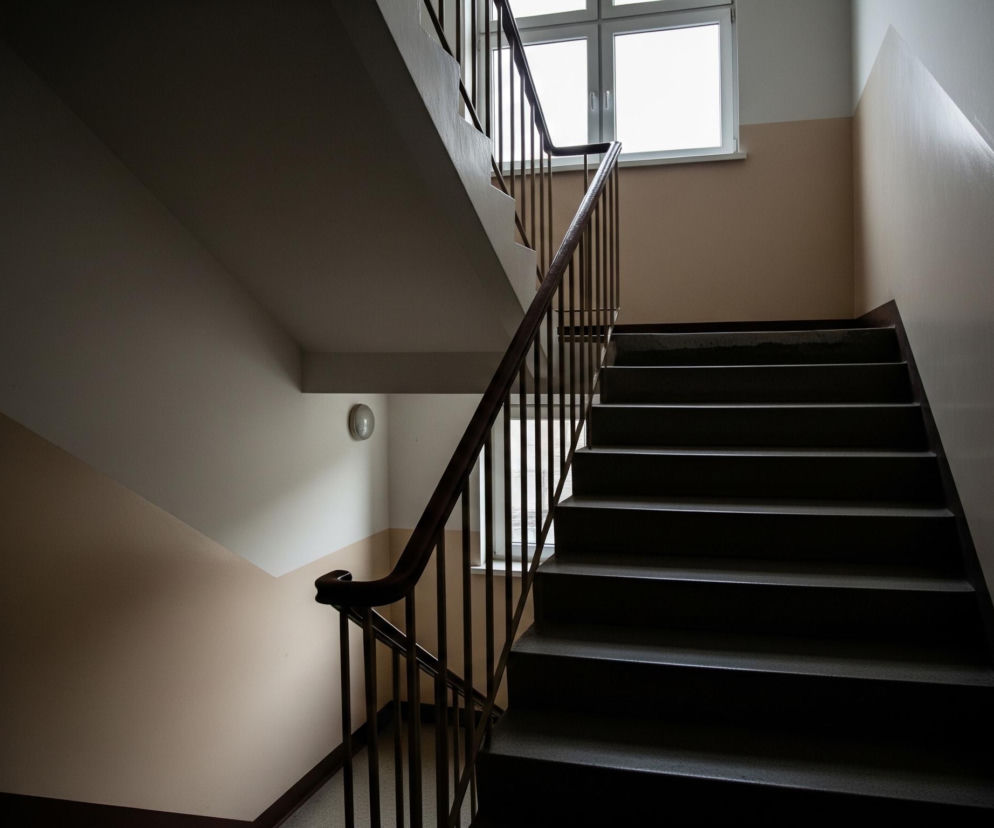 Widoczne są schody wewnątrz budynku, składające się z dwóch biegów i półpiętra. Pierwszy bieg, prowadzący na górę z prawej strony, jest ciemny i widocznych jest około siedmiu stopni, z których każdy ma czarną, chropowatą powierzchnię. Po lewej stronie tego biegu znajduje się ciemna, drewniana poręcz wsparta na pionowych, metalowych słupkach, które odbijają światło z okna.

Drugi bieg schodów, prowadzący z półpiętra w lewo i w górę, jest jaśniejszy i ma białą, gładką powierzchnię pod stopniami. Ściany są podzielone poziomo na dwie części: dolną w kolorze beżowym i górną w kolorze białym. Na półpiętrze znajduje się duże, białe okno z czterema szybami, przez które wpada jasne, rozproszone światło. Obok okna, na beżowej ścianie, widać okrągłą, szarą lampę. Ciemne cienie dominują w dolnej części obrazu, kontrastując z jasnością okna i fragmentów ścian.