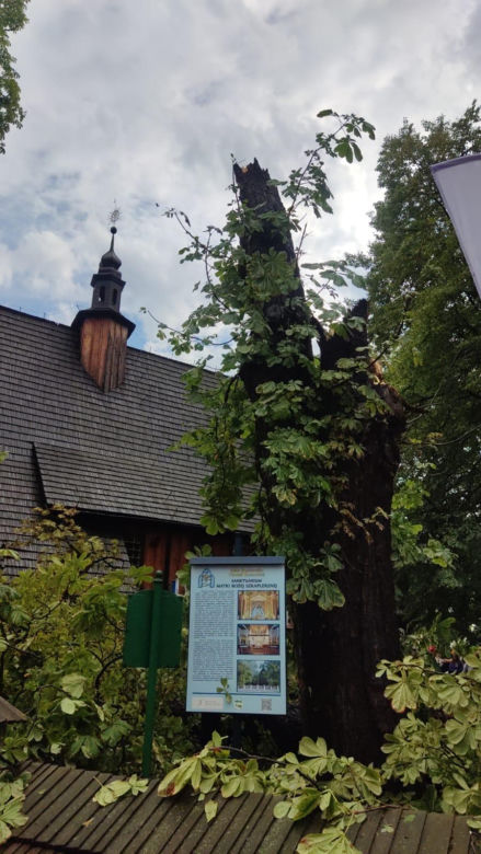 Gwałtowna nawałnica przeszła przez region tarnowski. Zalane ulice, uszkodzone dachy i połamane drzewa