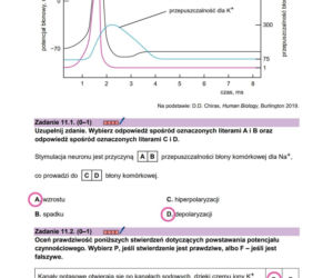 Matura 2026 z biologii ROZSZERZONEJ: odpowiedzi do wszystkich zadań z arkusza CKE 8.05.2026