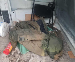 Roztrzaskał dostawczaka na drzewie. Gdy policjanci zajrzeli do bagażnika, zamarli