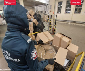 Trafili na tytoń za pół miliona złotych