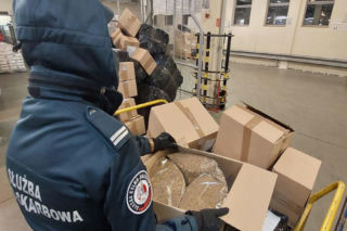 Trafili na tytoń za pół miliona złotych