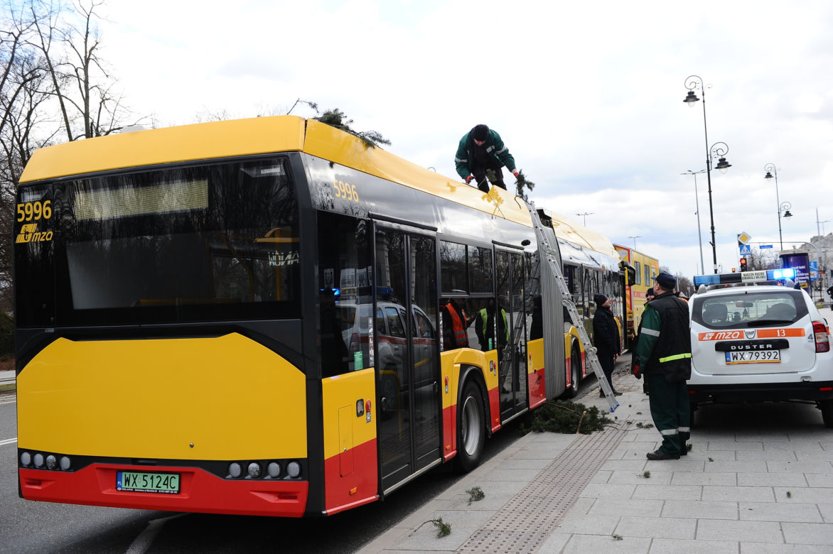 Warszawa: Al Ujazdowskie, potężne drzewo spadło na autobus i zablokowało ulicę