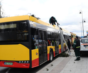 Warszawa: Al Ujazdowskie, potężne drzewo spadło na autobus i zablokowało ulicę