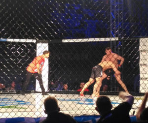 Gala MMA w Lublinie