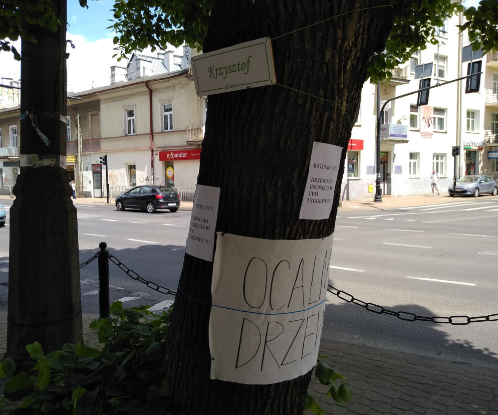 Krzysztof do przesadzenia?