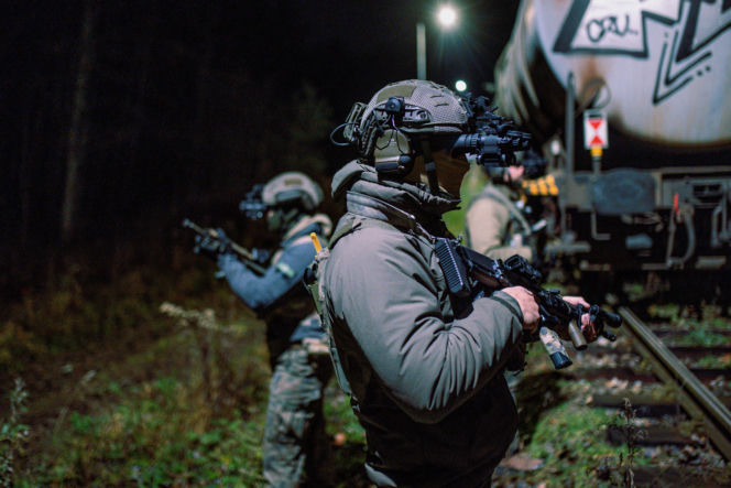 Żołnierze WOT jak policjanci? Mogą legitymować i zatrzymywać