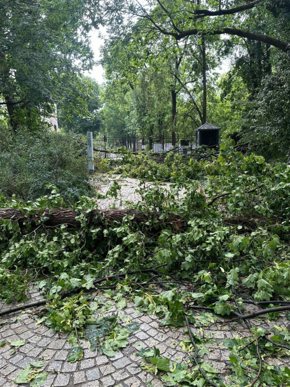 Łazienki Królewskie jednak zamknięte do odwołania