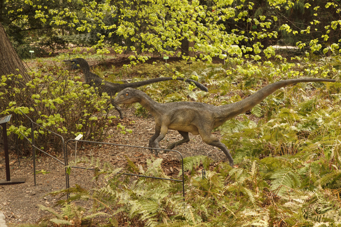 Dinozaury opanowały wrocławski ogród botaniczny
