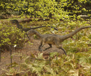 Dinozaury opanowały wrocławski ogród botaniczny