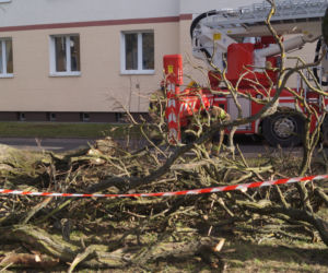 Niszczycielska wichura w Bydgoszczy [ZDJĘCIA]