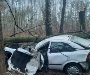 Wypadek w Żołyni