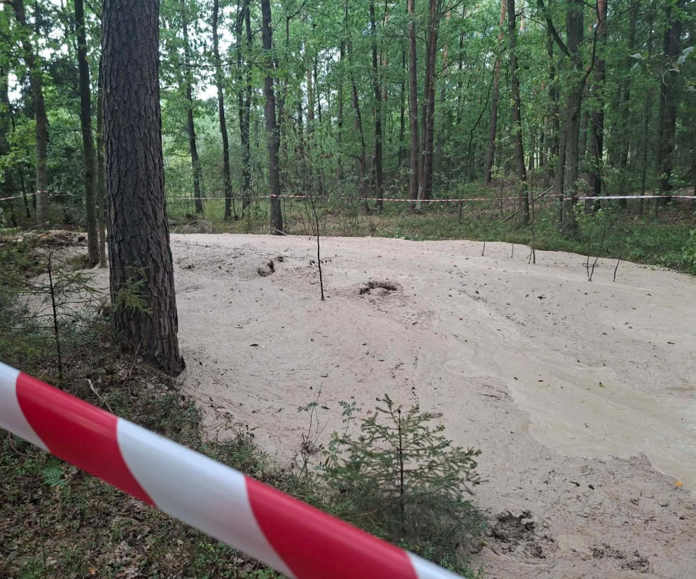 Tajemnicza maź zalała las pod Starachowicami. Policja i leśnicy badają sprawę