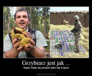 Trwa sezon na grzyby! Oto najlepsze memy o grzybiarzach!