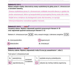 Matura próbna 2026 - biologia. Wszystkie odpowiedzi do arkusza CKE z biologii 14.01.2026
