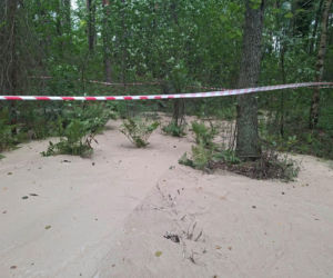 Tajemnicza maź zalała las pod Starachowicami. Policja i leśnicy badają sprawę