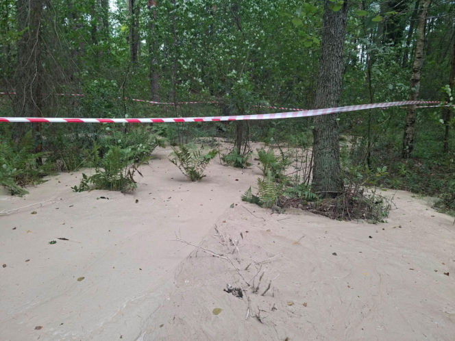 Tajemnicza maź zalała las pod Starachowicami. Policja i leśnicy badają sprawę