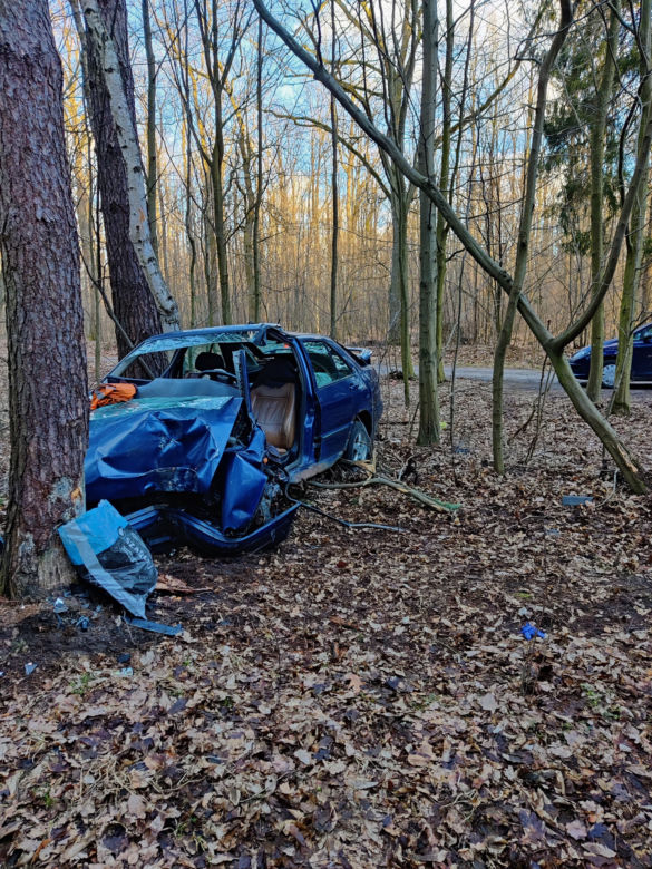 Makabra pod Płockiem! Seat mieszkańców Gostynina roztrzaskał się o drzewo [ZDJĘCIA]