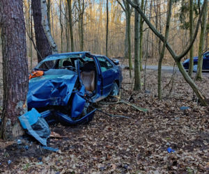 Makabra pod Płockiem! Seat mieszkańców Gostynina roztrzaskał się o drzewo [ZDJĘCIA]