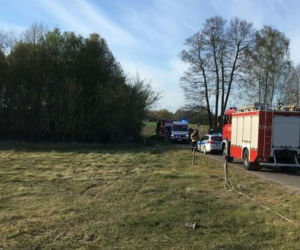 Zderzenie z sarną mogło mieć tragiczne skutki