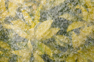 Zamiast wyrzucać folię bąbelkową wykorzystaj ją w ogrodzie. W czasie mrozów będzie niezastąpiona