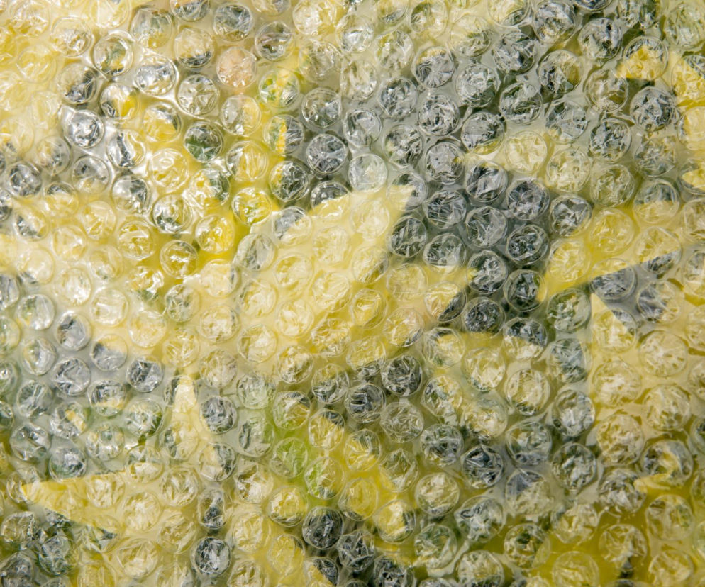 Folia bąbelkowa w ogrodzie