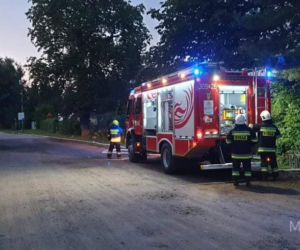 Pożar smażalni ryb w pod Bydgoszczą! Ogromne straty [ZDJĘCIA]