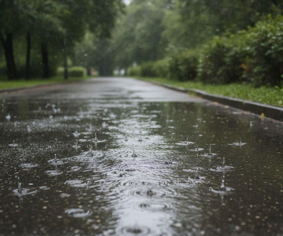 Krople deszczu spadają na mokrą asfaltową alejkę w parku wśród zieleni. O pogodzie w Łodzi przeczytasz na SE Łódź.