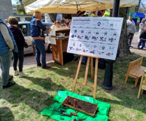 Impreza Wiosna na polu i w ogrodzie odbyła się w Siedlcach już po raz 18.