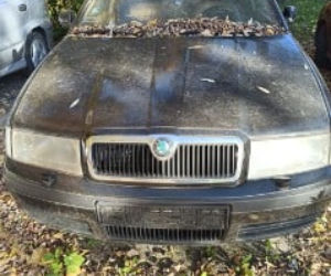 Wraki pojazdów znikają z krakowskich ulic. Strażnicy mają pełne ręce roboty 